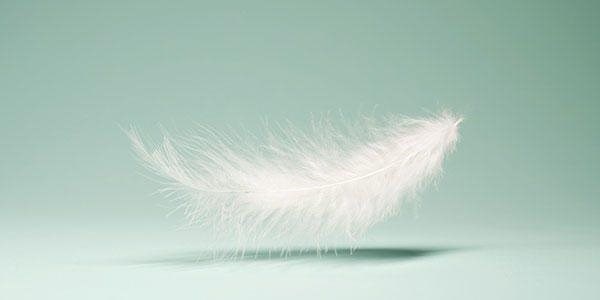 /COO/media/Media/Acuity/Summer 2020/p14-15Feather-Shutterstock-1672437853_1.jpg